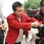 跃龙街道犬类分点集中免疫上牌 （图） 动物世界