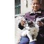 网友围观“天使猫” 专家称猫长翅膀不神秘（图） 动物世界
