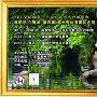 第132-133届 AKC全球服务—中国积分赛 广东冠军展 动物世界