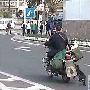 “虐狗男”铁链勒住狗脖子骑车拖行（图） 动物世界
