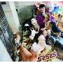 为了流浪狗被迫搬到乡下住（图） 动物世界