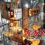 动物园销售宠物 园方称系承包商所为 （图） 动物世界