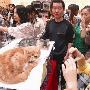 百只宠物猫亮相武汉世界名猫展  （图） 动物世界