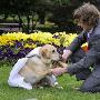 澳大利亞男子與寵物狗結婚（圖） 動物世界