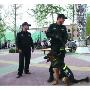 走访基地揭秘警犬生活（图） 动物世界