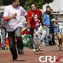 南京上演犬运动会人狗同乐（图） 动物世界