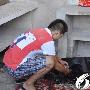 高产妈妈杜宾生了16只小狗崽 （图） 动物世界