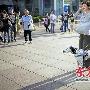 法国盲人主持带导盲犬“看世界”（图） 动物世界