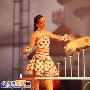 猫猫精彩表演成明星（图） 动物世界
