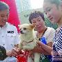 济南警方为收容狗狗找新家（图） 动物世界