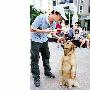 “又跳又唱” 狗狗明星“义演”（图） 动物世界