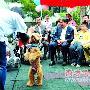 狗医生医院探望病童 小朋友很高兴（图） 动物世界