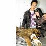 小藏獒出院第二天死亡 主人伤心不已（图） 动物世界