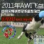 2011AWI飞盘狗世界杯中国区预选赛开始（图） 动物世界