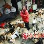 谁来帮忙？养307只流浪狗 （图） 动物世界