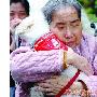 狗医生福利中心探访老人（图） 动物世界