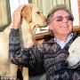 英导盲犬患病失明 新导盲犬担导人也导狗（图） 动物世界