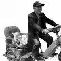 坐“专车”兜风 狗狗好威风（图） 动物世界