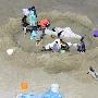 日50头海豚搁浅 水生专家正全力救援（图） 动物世界