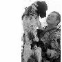 英士兵阿富汗阵亡 防暴犬伤心过度致死（图） 动物世界