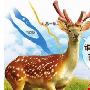 暮云惊现梅花鹿 谁能送它回家？（图） 动物世界