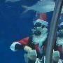 圣诞老人现身上海水族馆促环保（图） 动物世界