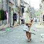 金毛犬帮主人叼纸巾（图） 动物世界