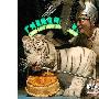 动物园里热闹多（图） 动物世界