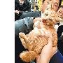台冷血警卫虐猫被传上网 内网友怒斥畜生（图） 动物世界