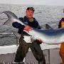 英垂钓者钓到迄今最大蓝鲨重100公斤（图） 动物世界