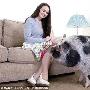英女子买到假宠物香猪 一年后成大肥猪（图） 动物世界