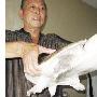 男子钓到9斤2两甲鱼（图） 动物世界
