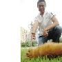 宠物犬“一技之长” （图） 动物世界