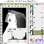 Photoshop通道及抽出综合勾图方法(2)