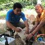 海口老僧人收养10只流浪狗 动物协会为狗治病（图） 动物世界