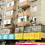 主人病倒在床 小狗跳窗求救（图） 动物世界