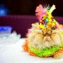 纽约15岁猫咪过生日 众多明星猫时装秀贺寿（图） 动物世界