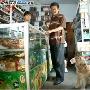 宠物狗能识别百元大钞 独自去店铺购物（图） 动物世界