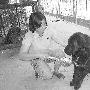 “东方神犬”落户敦煌（图） 动物世界