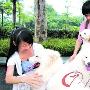 教您夏日狗狗防暑秘诀（图） 动物世界