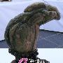 潮汕奇石艺术欣赏（59）