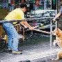 香港捉狗队捕流浪犬被指手法残忍 狗受伤吐血（图） 动物世界