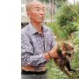 山谷现5只怪物似狗又似狐（图） 动物世界