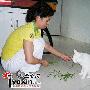 “素食猫” 不爱吃肉爱吃草（图） 动物世界