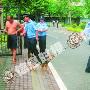 德国牧羊犬被带走（图） 动物世界