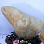 潮汕奇石艺术欣赏（73）