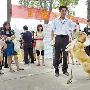 南京市民可到犬只留检所认养狗狗（图） 动物世界