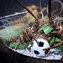 龙虾、鲨鱼水族馆里踢足球（图） 动物世界