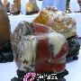 潮汕奇石艺术欣赏（130）
