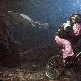 英水族馆上演水下骑车与鲨共舞为慈善筹款（图） 动物世界